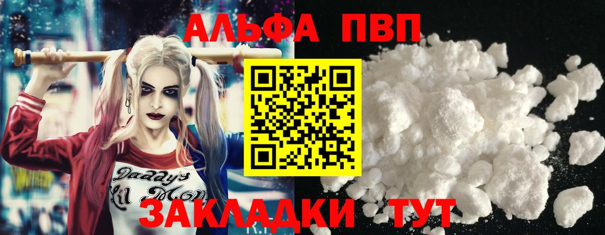 A PVP СК КРИС Великий Устюг