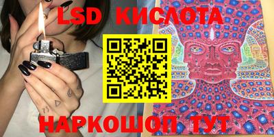 крисы Шелехов