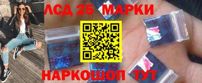 крисы Шелехов
