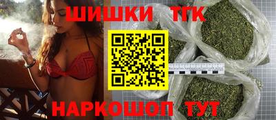 крисы Шелехов