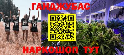 крисы Шелехов