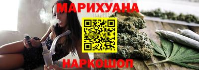 крисы Шелехов