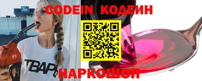 крисы Шелехов