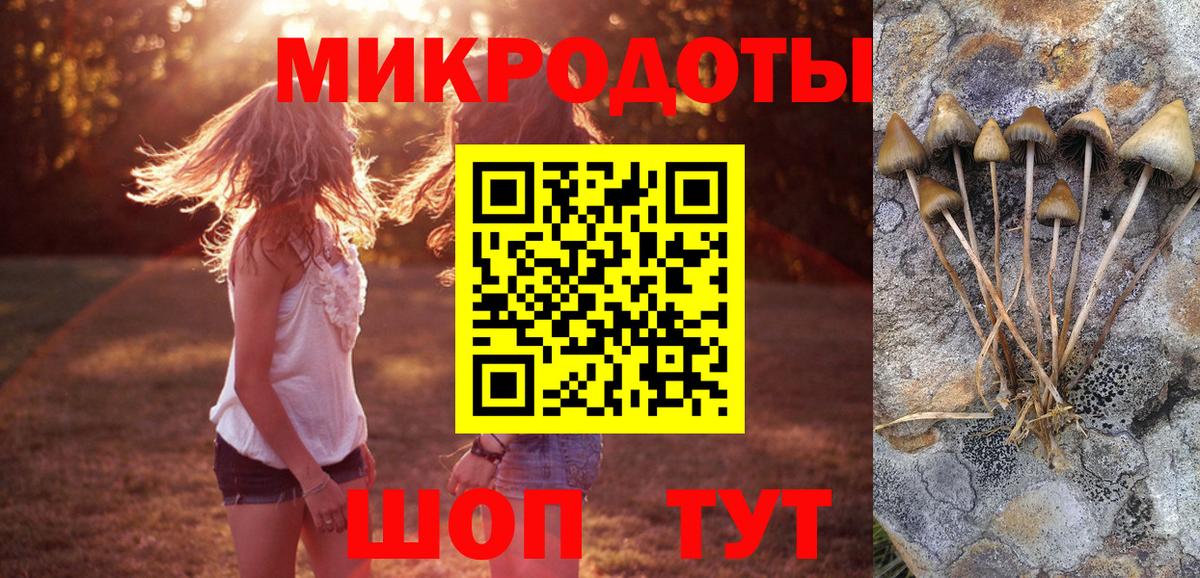 Великий Устюг  Галлюциногенные грибы GOLDEN TEACHER  Вход с VPN 